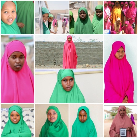 Human rights protection